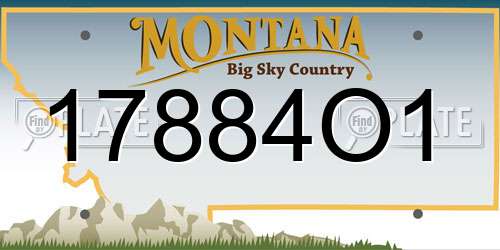 17884O1 Montana License Plate