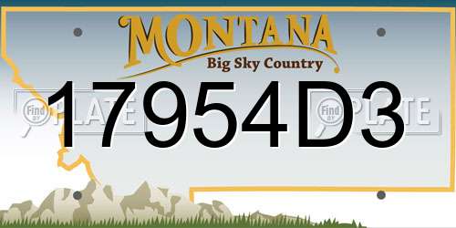 17954D3 Montana License Plate