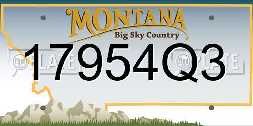 17954Q3 Montana License Plate