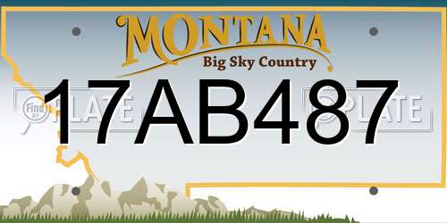 17AB487 Montana License Plate