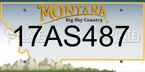 17AS487 Montana License Plate