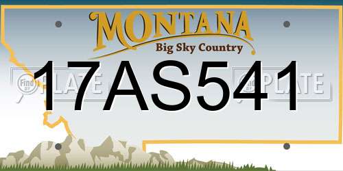 17AS541 Montana License Plate