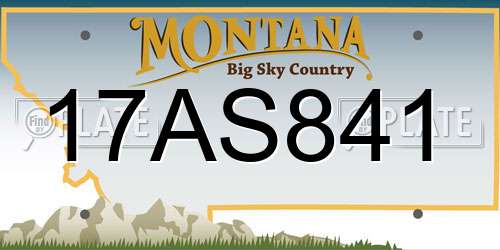 17AS841 Montana License Plate