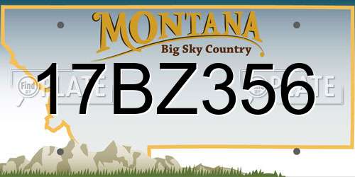 17BZ356 Montana License Plate