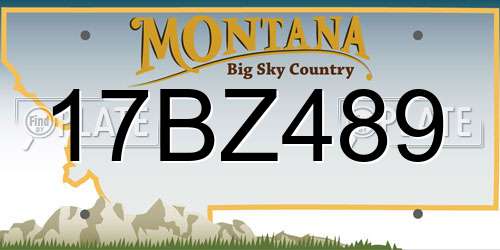 17BZ489 Montana License Plate