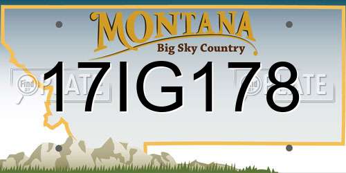 17IG178 Montana License Plate
