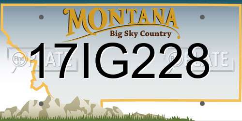 17IG228 Montana License Plate