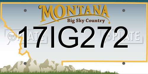 17IG272 Montana License Plate