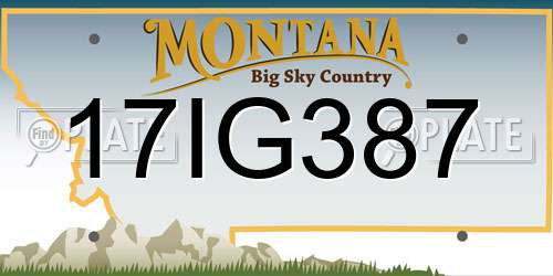 17IG387 Montana License Plate