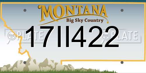 17II422 Montana License Plate