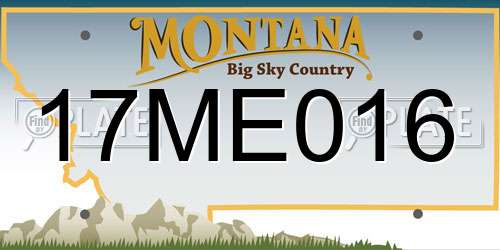17ME016 Montana License Plate