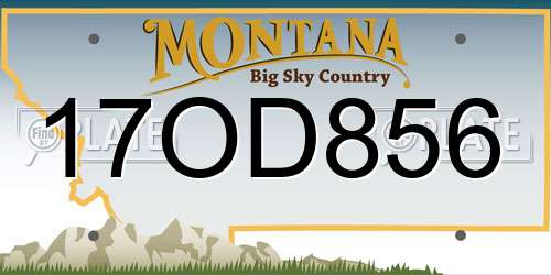 17OD856 Montana License Plate