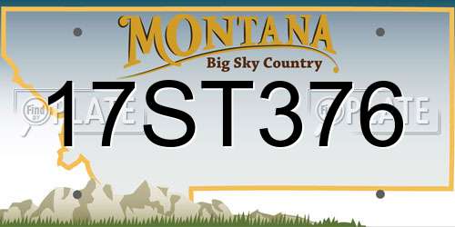 17ST376 Montana License Plate