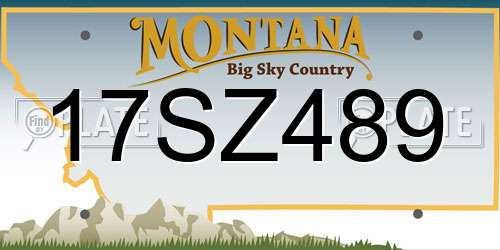 17SZ489 Montana License Plate