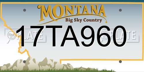 17TA960 Montana License Plate