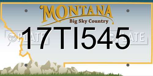17TI545 Montana License Plate