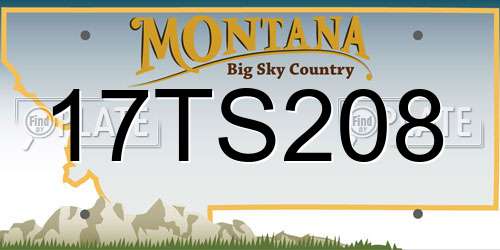 17TS208 Montana License Plate
