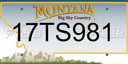 17TS981 Montana License Plate