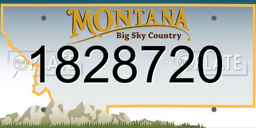 1828720 Montana License Plate