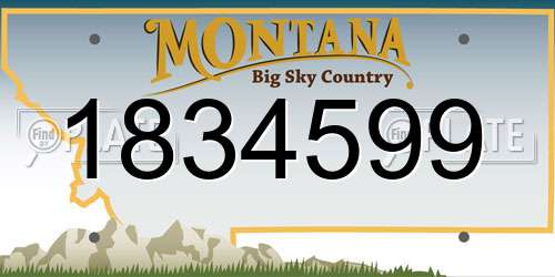 1834599 Montana License Plate