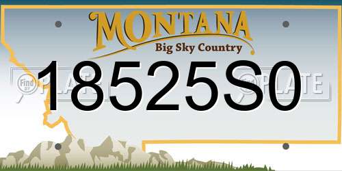 18525S0 Montana License Plate