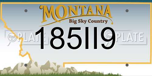185II9 Montana License Plate