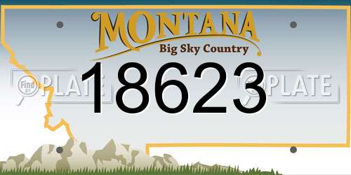 18623 Montana License Plate