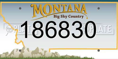 186830 Montana License Plate
