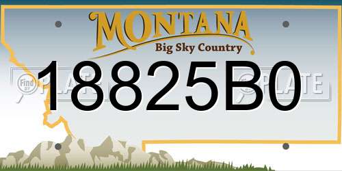 18825B0 Montana License Plate
