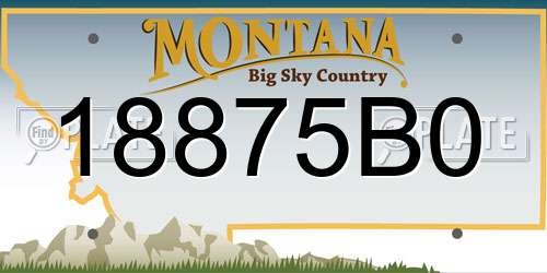 18875B0 Montana License Plate