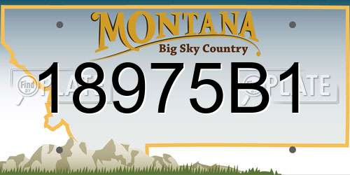 18975B1 Montana License Plate