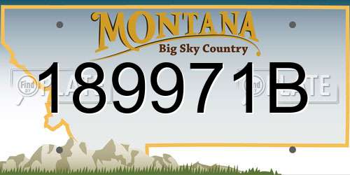 189971B Montana License Plate