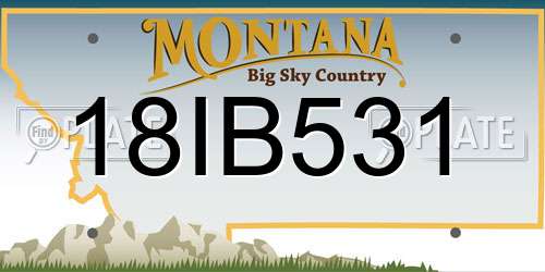 18IB531 Montana License Plate