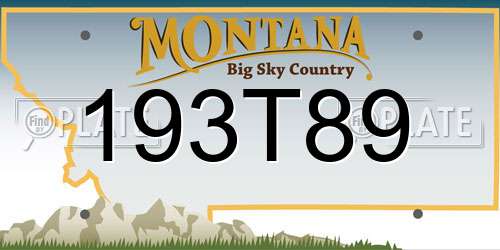 193T89 Montana License Plate