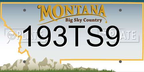 193TS9 Montana License Plate