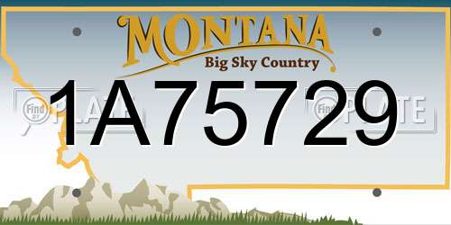 1A75729 Montana License Plate