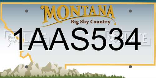 1AAS534 Montana License Plate