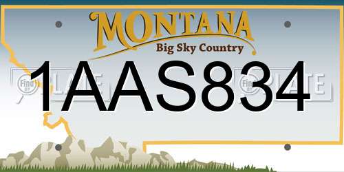 1AAS834 Montana License Plate