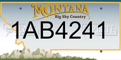 1AB4241 Montana License Plate