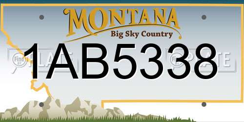 1AB5338 Montana License Plate