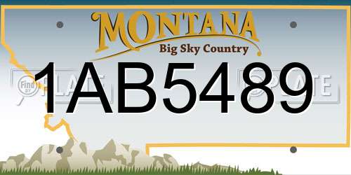 1AB5489 Montana License Plate