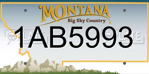 1AB5993 Montana License Plate
