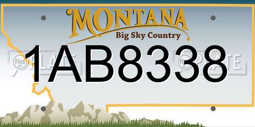 1AB8338 Montana License Plate