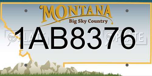 1AB8376 Montana License Plate
