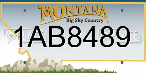 1AB8489 Montana License Plate
