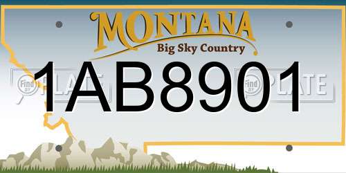 1AB8901 Montana License Plate