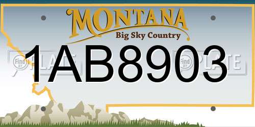 1AB8903 Montana License Plate