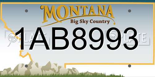 1AB8993 Montana License Plate