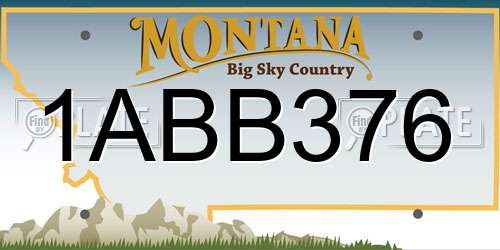 1ABB376 Montana License Plate