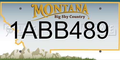 1ABB489 Montana License Plate